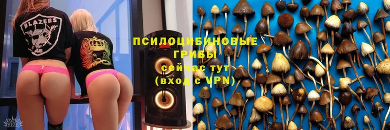 Псилоцибиновые грибы MAGIC MUSHROOMS Апатиты